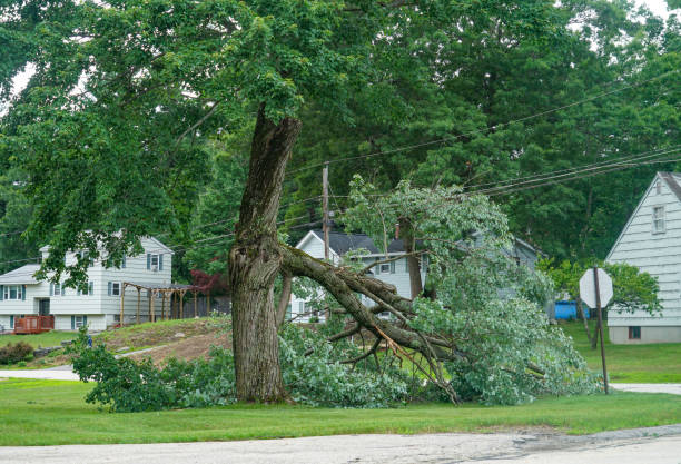 Best Tree Trimming Near Me  in Catoosa, OK